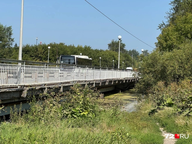 Вода затопила почти всё пространство под мостом  | Источник: Илья Чикотин / 72.RU 