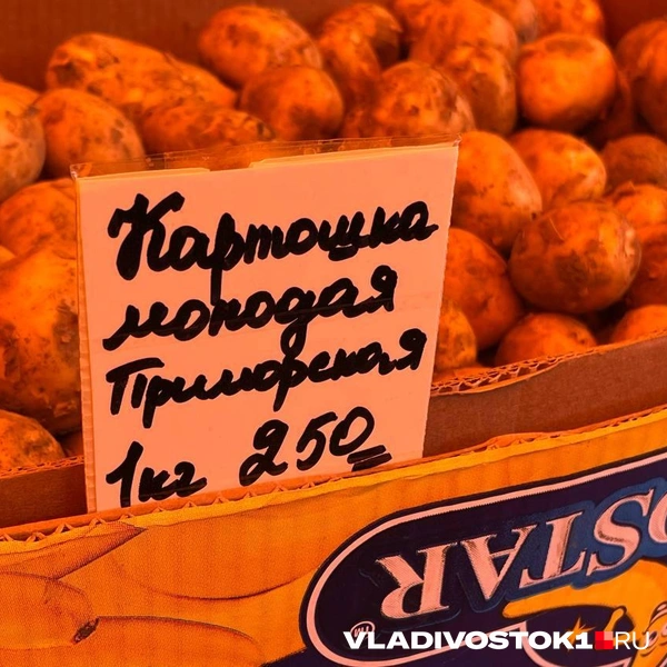 Источник: Елена Буйвол / VLADIVOSTOK1.RU