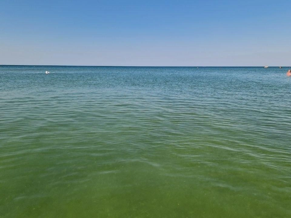 Так выглядит черное море на одном из пляжей | Источник: Макс Анапский / t.me