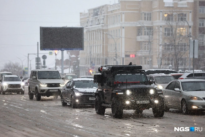 Источник: Александр Ощепков / NGS.RU