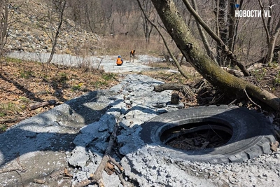 Строители залили лес бетоном на Нейбута во Владивостоке