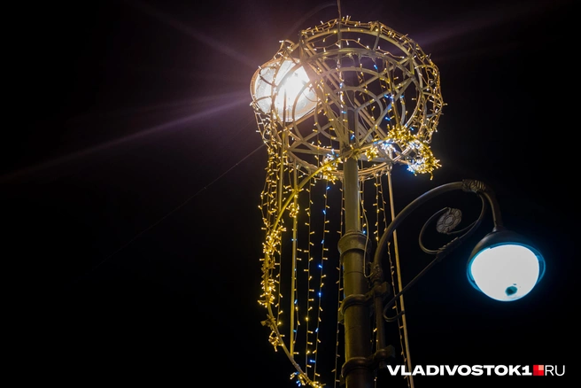 Источник: Елена Буйвол / VLADIVOSTOK1.RU