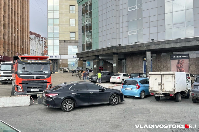 Источник: Елена Буйвол / VLADIVOSTOK1.RU