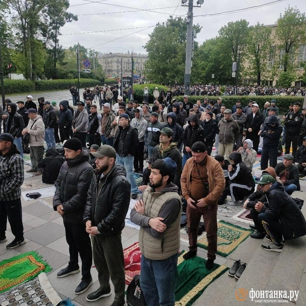 Источник: Михаил Огнев / «Фонтанка.ру»
