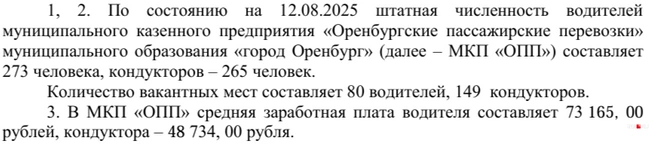 Да-да, это не опечатка | Источник: Ответ на запрос 56.RU от мэрии Оренбурга