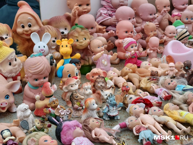 Источник: Серафима Путиева / MSK1.RU