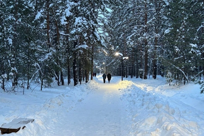 Погода в Курганской области на выходных: ожидается потепление