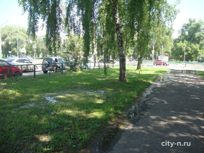 Источник: www.city-n.ru