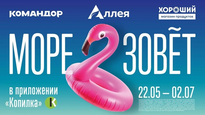 Прошлогодняя акция была очень популярной | Источник: «Командор»