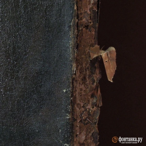 Источник: Михаил Огнев / «Фонтанка.ру»