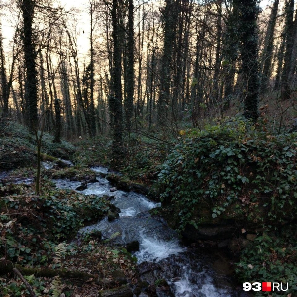 Прогулка по тропе&nbsp;—&nbsp;просто восторг | Источник: 93.RU