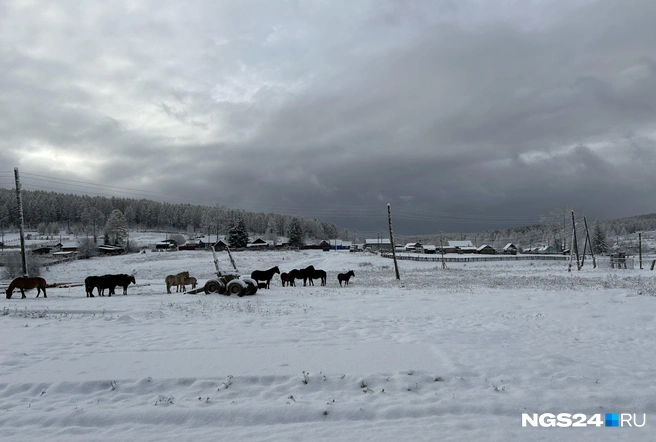 На подъезде к Кутурчину | Источник: Алексей Тайганавт / NGS24.RU