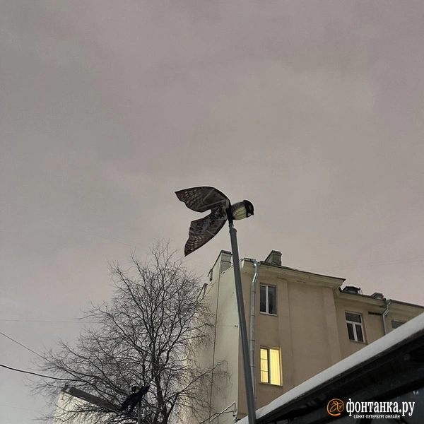 Источник: предоставлено «Фонтанке»