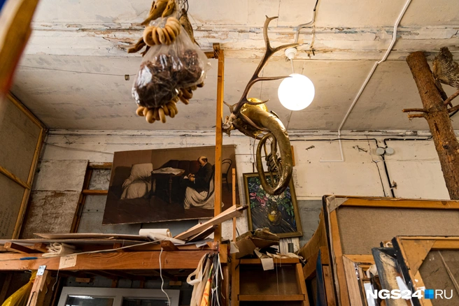 Для натюрморта | Источник: Мария Ленц / NGS24.RU