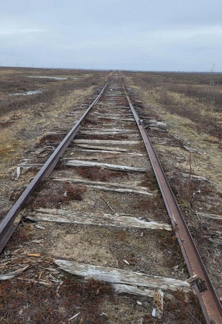 Это остатки Трансполярной железной дороги, которую строили в начале 50-х силами заключенных. Мегапроект должен был соединить Мурманск и Чукотку. Дорога, стоившая многим жизни, большей частью теперь заброшена. Потихоньку превращается в тундру | Источник: Лисьи тропки / Telegram