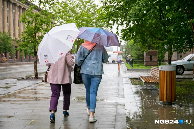 Без зонтика на улицу лучше не выходить в предстоящие выходные | Источник: Артем Ленц / NGS24.RU