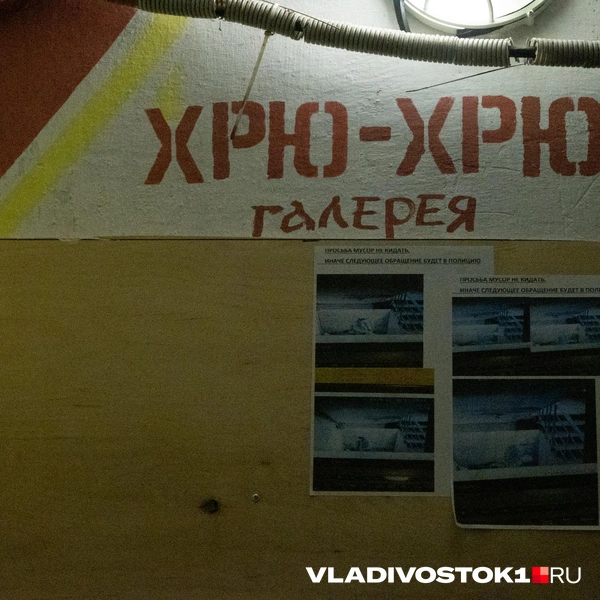 Источник: Елена Буйвол / VLADIVOSTOK1.RU