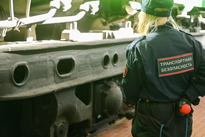 Источник: Максим Воробьев