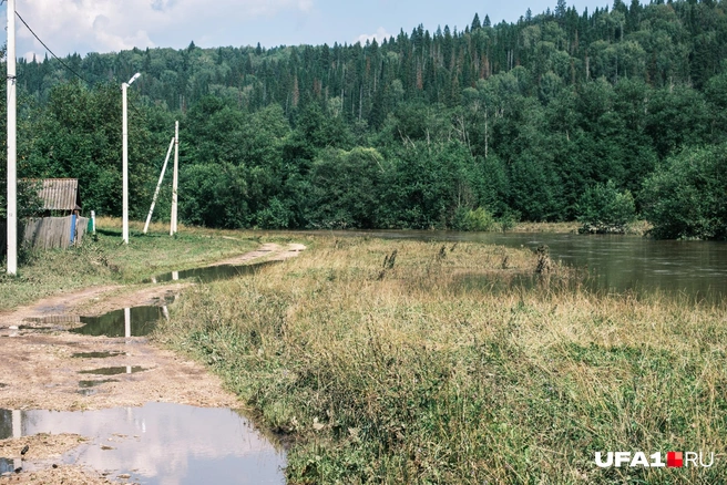 Говорят, поздно уже для ковчега | Источник: Булат Салихов / UFA1.RU