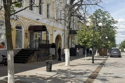 Аварийные деревья на Московской заменят липами