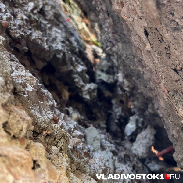 Источник: Елена Буйвол / VLADIVOSTOK1.RU