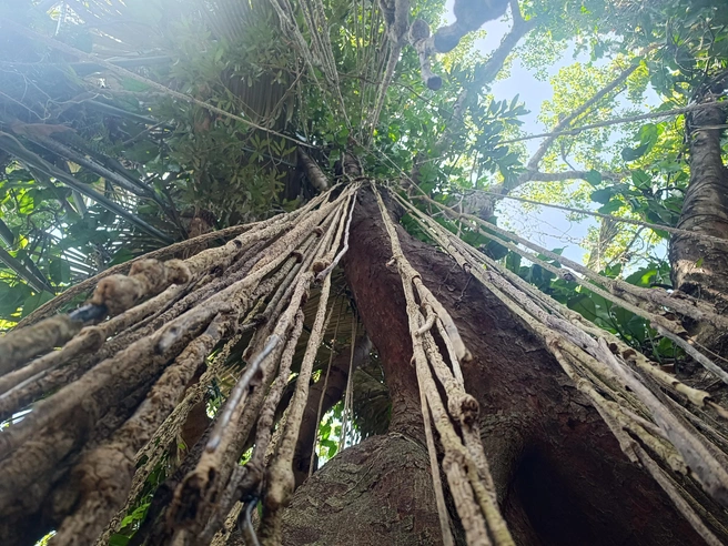 Дикая природа во всей красе | Источник: предоставлено героями публикации