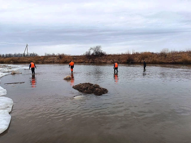 Спасатели и волонтеры обследуют дно и берега реки | Источник: пресс-служба поисково-спасательной службы Удмуртии