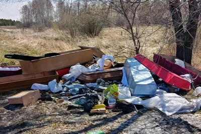 Челябинка обнаружила свалку с гробами за СНТ
