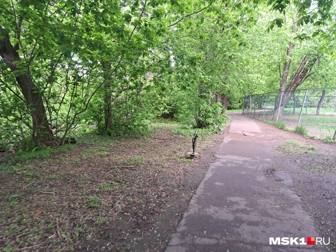 Источник: Арина Майорова / MSK1.RU