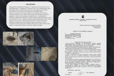 ЛДПР взялась за дороги в трёх районах области