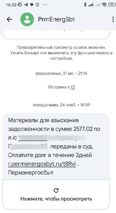 Вот такие смс получают должники, даже если долг небольшой | Источник: Ольга Якунчева / 59.RU