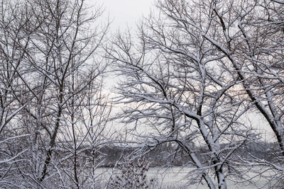 Explosion Near Court and Accidents in Don Region on January 29