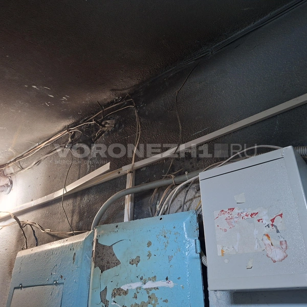 Источник: Алёна Воропаева / Voronezh1.ru