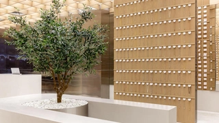 Минимализм и джапанди: шоурум в Алма-Ате