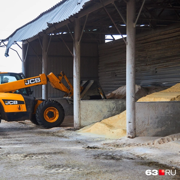 Источник: Роман Данилкин / 63.RU