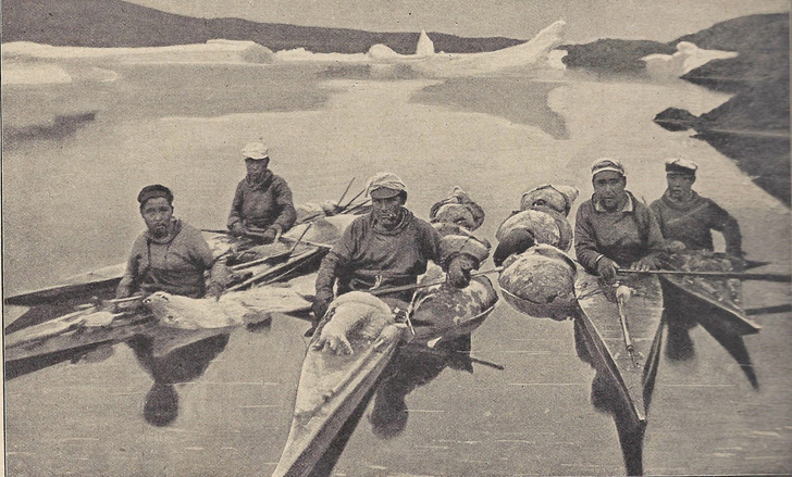 Зоология: чей в море мех