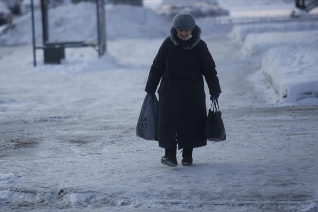 В Туле будет снежная зима | Источник: Сергей Михайличенко / FONTANKA.RU