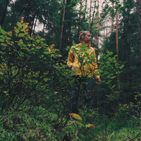 Аватарка одуванъ