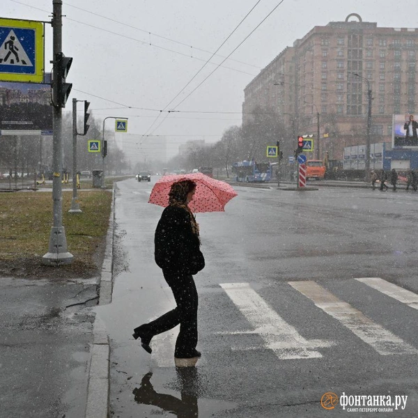 Источник: Андрей Бок / «Фонтанка.ру»