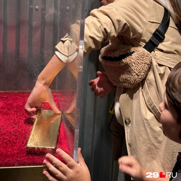 Источник: Валерия Богатырёва / 29.RU