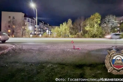 В Петропавловске грузовик сбил женщину, водитель скрылся