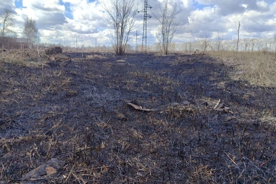 «До пяти утра тушили»: как новосибирцы боролись с огнем