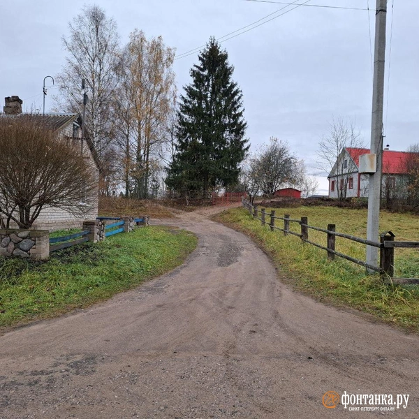 Источник: Ирина Багликова / «Фонтанка.ру»