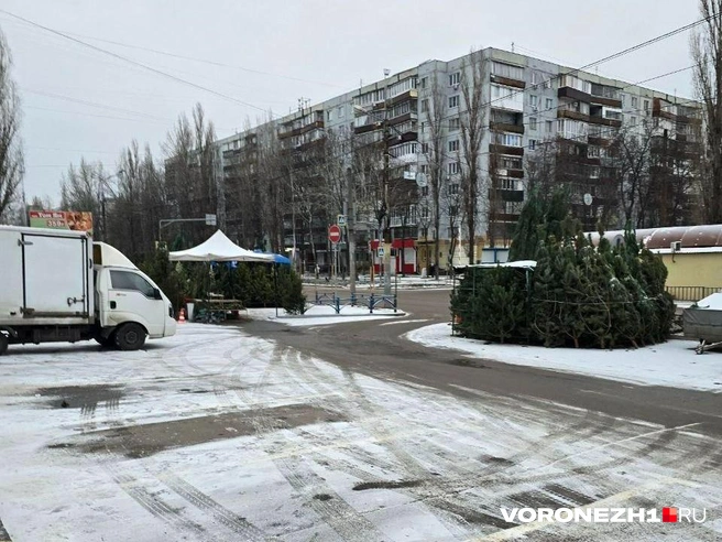 Так выглядит базар у ТЦ&nbsp;«Северный» | Источник: читательница Voronezh1.ru