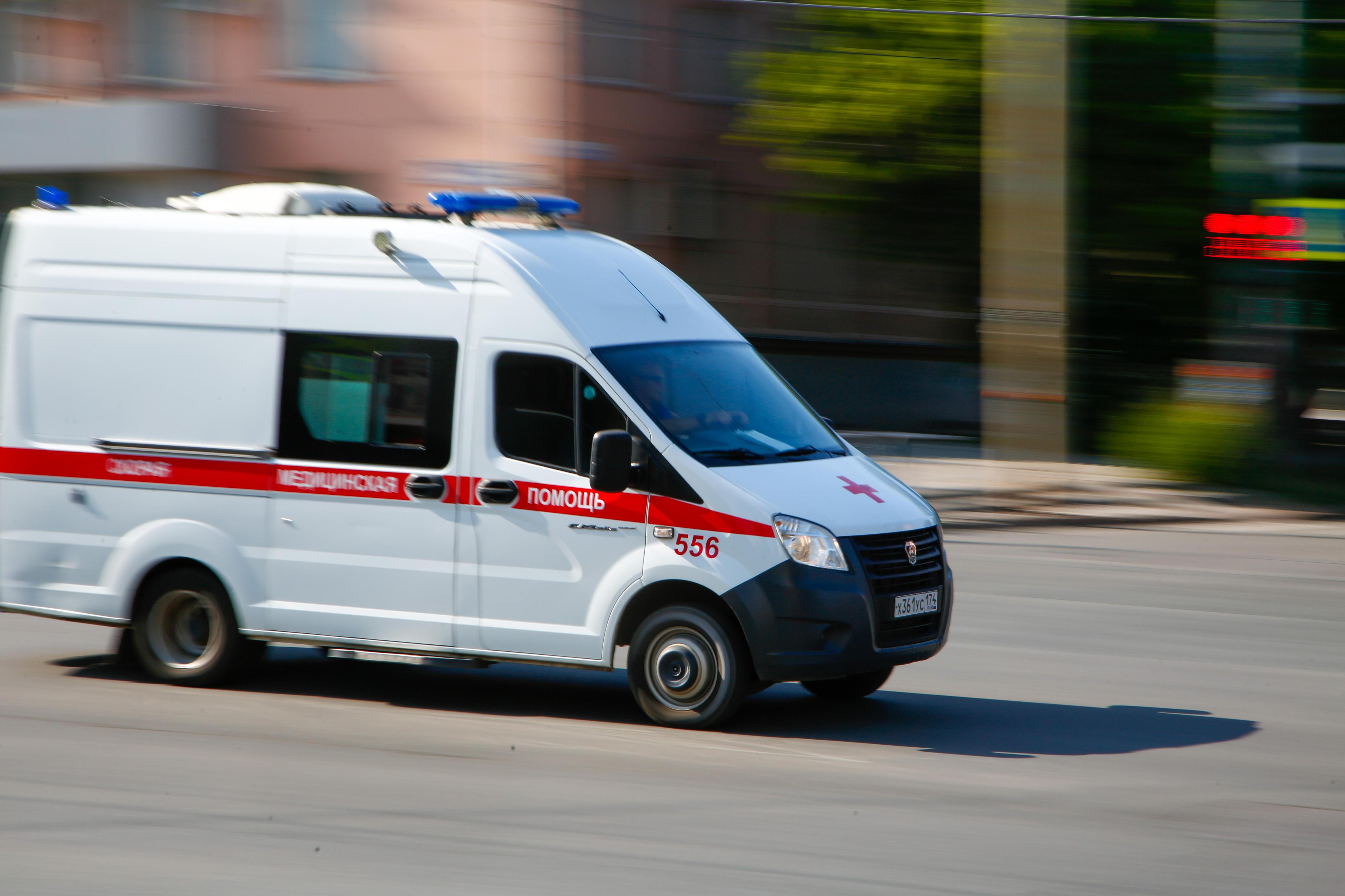 Пастуха ударила молния в Челябинской области