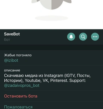 Самые прикольные и полезные боты в Telegram