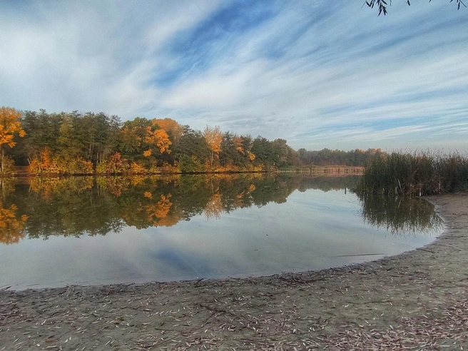 Природа постепенно готовится ко сну | Источник: Ирина Голоколенова