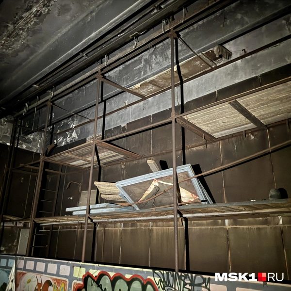 Источник: Алина Мельникова / MSK1.RU