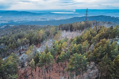 Энергетики Забайкалья завершили подготовку сетей к сезону пожаров