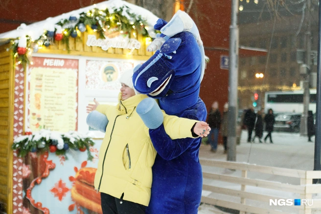 Несколько секунд веселья обойдутся новосибирцам как минимум в 500 рублей, и, глядя на снимки, горожане и их гости скорее вспомнят неприятное осознание, как их обманули | Источник: Андрей Бортко / NGS.RU